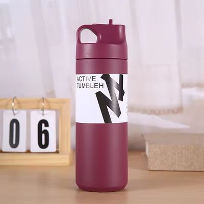 Garrafa de água quente e fria isolada 550 ml Capacidade de aço inoxidável interior tampa de palha