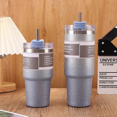 Copo de água isolado de aço inoxidável com palha para viagens e estilos de vida ativos