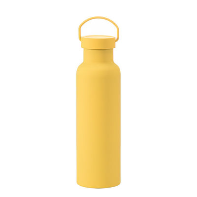 Estilo de Design CLÁSICO Garrafa de Água Isolada de Aço Inoxidável com Manilha Eco-Amigável